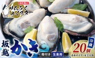 牡蠣 生食 坂越かき 殻付き28個 牡蠣ナイフ・軍手付き サムライオイスター 生牡蠣