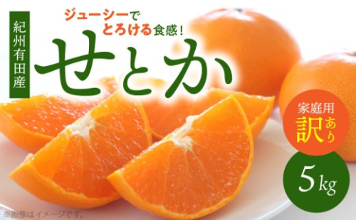 G7355_【2026年先行予約】とろける食感！ジューシー柑橘 せとか 5kg 【家庭用 訳あり】 198830 - 和歌山県湯浅町
