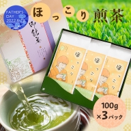 【父の日】ほっこり煎茶【100ｇ×3袋】道野製茶（一番茶葉のみ使用） ギフト 贈り物 AA-852
