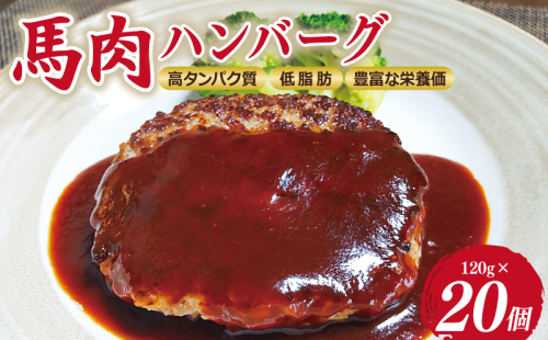 桜文 馬肉ハンバーグ 総量2.4kg（120g×20個） 個包装 099H3402 1988809 - 大阪府泉佐野市