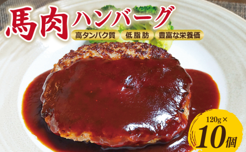 桜文 馬肉ハンバーグ 総量1.2kg（120g×10個） 個包装 005A658 1988810 - 大阪府泉佐野市