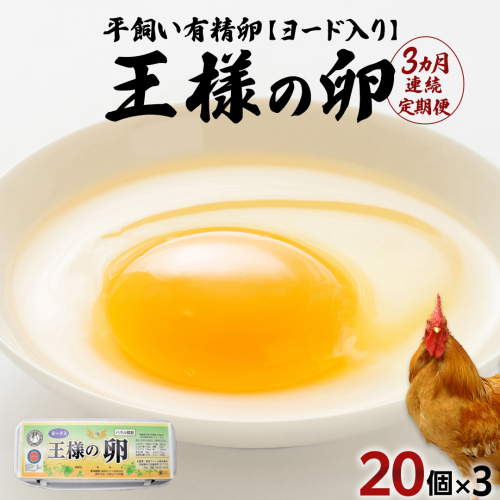 【3ヵ月 連続 定期便】王様の卵 ヨード入 20個 計60個 平飼い 地鶏 有精卵 濃厚 卵 こだわり卵 たまご 頒布会 定期 1989204 - 茨城県牛久市