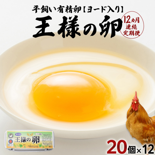 【12ヵ月 連続 定期便】王様の卵 ヨード入 20個 計240個 平飼い 地鶏 有精卵 濃厚 卵 こだわり卵 たまご  頒布会 定期
 1989206 - 茨城県牛久市