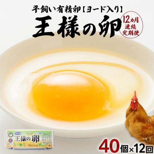 【12ヵ月 連続 定期便】王様の卵 ヨード入 40個 計480個 平飼い 地鶏 有精卵 濃厚 卵 こだわり卵 たまご 頒布会 定期 1989209 - 茨城県牛久市