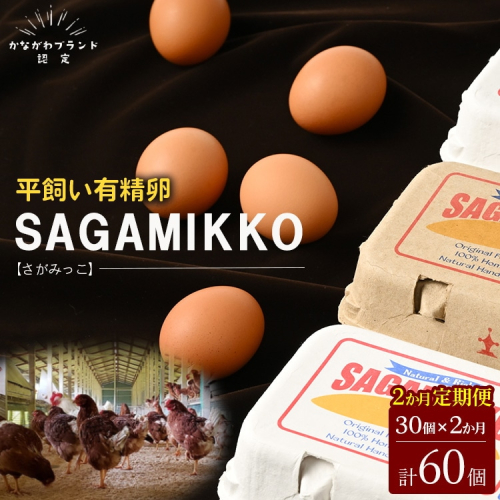 【2ヶ月定期便】《かながわブランド認定》平飼い有精卵さがみっこ 30個×2か月| 平飼い ケージフリー 卵 有精卵 鶏卵 玉子 たまご 生卵 国産 濃厚 コク 旨味 ※離島への配送不可 1989935 - 神奈川県相模原市