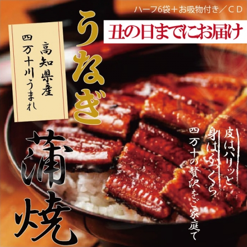 【丑の日までにお届け】22-361U.高知県産うなぎ蒲焼 ハーフ6袋+お吸物付き/CD 199036 - 高知県四万十市