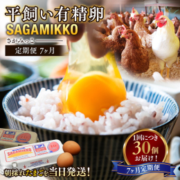 鶏本来の姿や生活を大切に考えた、手作業で行う平飼い養鶏。 移り行く季節の中で、のびのびと暮らす鶏達。ありのままの素晴らしさが、ここにはあります。 ※離島への配送不可(北海道・沖縄本島は可) ※準備がで