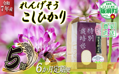 米 れんげそう こしひかり 5kg × 6回 【 6か月 定期便 】( 令和7年産 ) 特別栽培米 仲俣農園 2025年10月上旬頃から順次発送予定 コシヒカリ 白米 精米 お米 信州 159000円 予約 農家直送 長野県 飯綱町 [1927] 1991363 - 長野県飯綱町