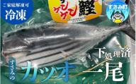 カツオ 1尾 下処理済み冷凍 和歌山県すさみ町産 / 大容量 カツオ かつお 鰹 丸ごと 魚 捌く 海鮮丼 寿司 手巻き寿司 漬け丼 鰹のたたき 海鮮 海の幸 魚介 新鮮 刺身 和歌山 すさみ町 大容量 【scp124A】