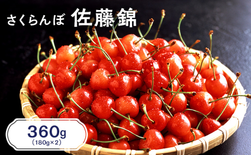 先行受付 北海道 仁木町産 さくらんぼ 佐藤錦 360g（180g×2パック）  サクランボ チェリー フルーツ 果物 果物類  仁木町 仁木 [JA新おたる] 1991725 - 北海道仁木町