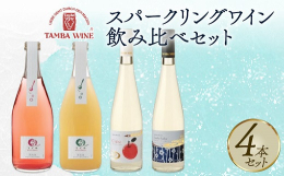 京都府と連携した返礼品です。【セット内容】・てぐみpetit 白 500ml発酵終了直前のワインを瓶詰めし、瓶の中で発酵を継続させることで、酵母が生み出した炭酸ガスがワインに溶け込んだ発泡ワインです。