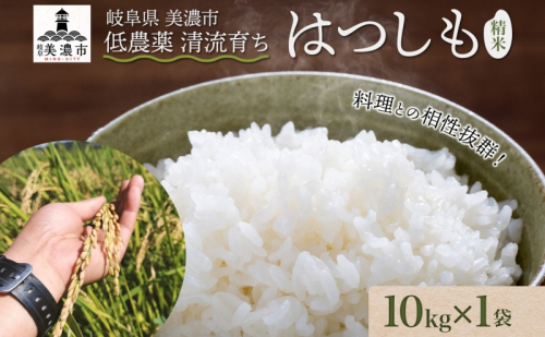 ＜先行予約＞令和7年産 はつしも 精米 10kg×1袋 低農薬 清流育ち 新米 お米 白米 米 ごはん ご飯 ハツシモ R7年産 ブランド米 産地直送 送料無料 美濃グリーン 岐阜県 美濃市 ■2025年11月下旬より順次発送 1992586 - 岐阜県美濃市