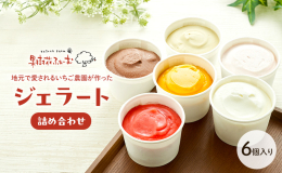 自社栽培の苺を使った苺と苺ミルクのジェラートを含め、素材にこだわったジェラートを取り揃えております。 リッチミルク / ピスタチオ /ミルクチョコレート / マンゴー / 苺 / 苺ミルク ６種の味を
