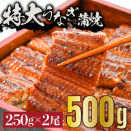 [特大]うなぎ 蒲焼き 2尾 500g(250gX2尾) 中国産