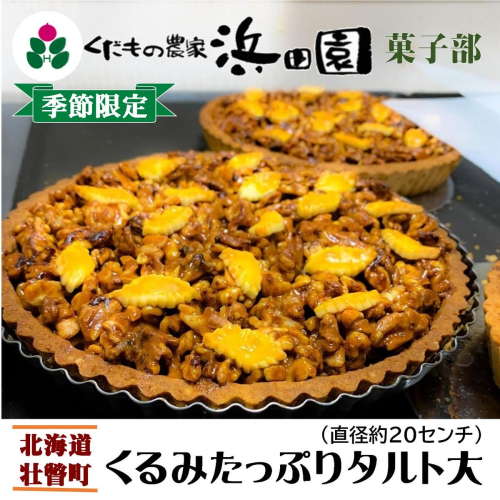 ＜2025年12月10日頃よりお届け＞くるみたっぷりタルト大(直径約20cm)SBTI004 1992881 - 北海道壮瞥町