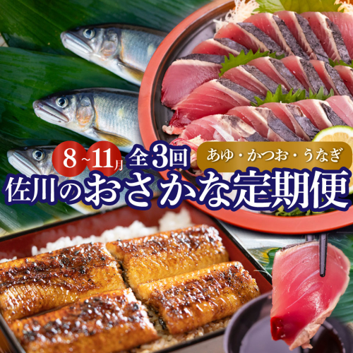 ＜年3回【さかわのお魚定期便（配送月：8月～11月）】うなぎ　かつおのタタキ　鮎＞鰹のタタキ 高知県 大正軒 鮎屋仁淀川 西村商店 かつおのたたき 鰻蒲焼き あゆ 1993030 - 高知県佐川町