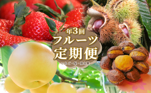 ＜フルーツ定期便（全３回）いちご 梨 焼き栗＞ fruit 苺 おすすめ 旬 果物 くだもの 高知県 佐川町産 1993035 - 高知県佐川町