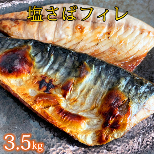 【ご家庭用】塩さばフィレ3.5kg | 鯖 サバ 焼き魚 おかず 惣菜 冷凍 切り身〇 199305 - 和歌山県美浜町