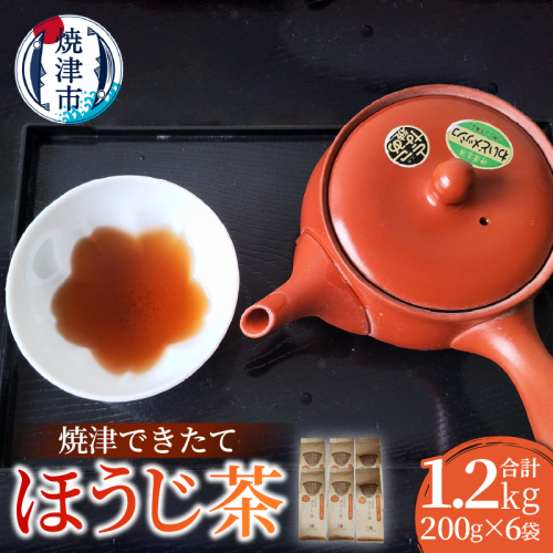 a10-1149　焼津できたてほうじ茶200g×6袋合計1.2kg 1993175 - 静岡県焼津市