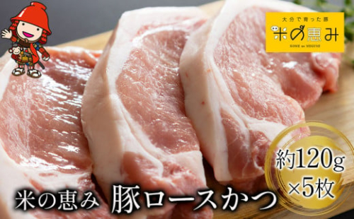 「米の恵み」 豚ロースかつ 約120g×5枚 | お肉 肉 おにく にく 豚 豚肉 ロース ブランド豚 ロースかつ とんかつ トンカツ 惣菜 おかず 冷凍 国産 大分県産 九州産 大分県 中津市 1993498 - 大分県中津市