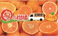 [全6か月定期便] 旬の柑橘類コース
