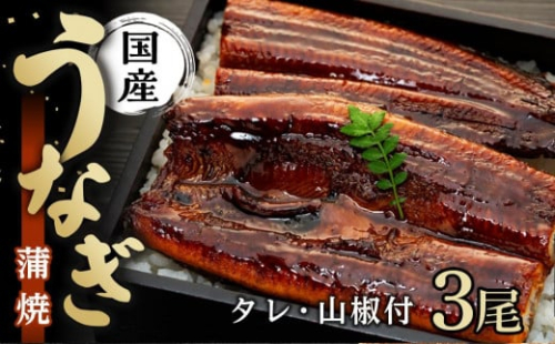 国産 うなぎ蒲焼 3本 セット 合計 約300g 数量限定 199360 - 和歌山県有田川町