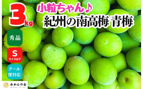南高梅 青梅 秀品 小粒ちゃん 約3kg Sサイズ以下 和歌山県産 紀州有田 産地直送 クール便対応 梅酒作り用 梅ジュース作り用 1993630 - 和歌山県有田川町