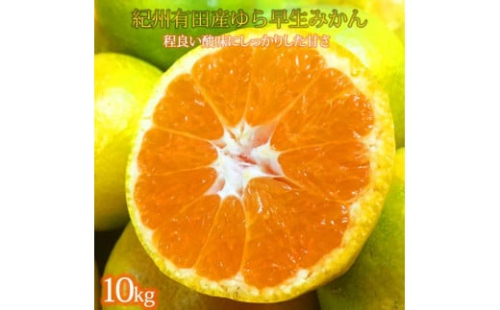 紀州和歌山有田産ゆら早生みかん　10kg【2025年発送】 199374 - 和歌山県有田川町