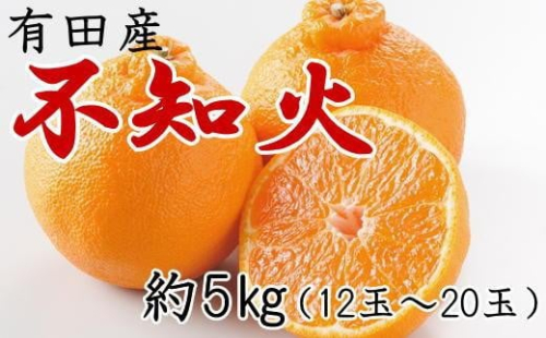 ［濃厚］有田の不知火約5kg（12～20玉）★2026年2月中旬頃より順次発送 199386 - 和歌山県有田川町