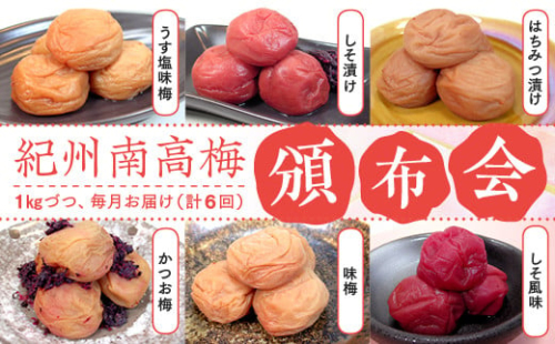 紀州南高梅　頒布会（計6回） 199388 - 和歌山県有田川町