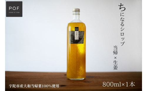 ちになるシロップ 大和当帰×生姜 800ml 1本／POWER OF FOOD ふるさと納税 生姜 シロップ 瓶  ガラス瓶 国産 食材 炭酸 大和当帰葉 有機 お湯割り 甜菜糖 ハチミツ はちみつ 送料無料 ち 奈良県 宇陀市 1994171 - 奈良県宇陀市