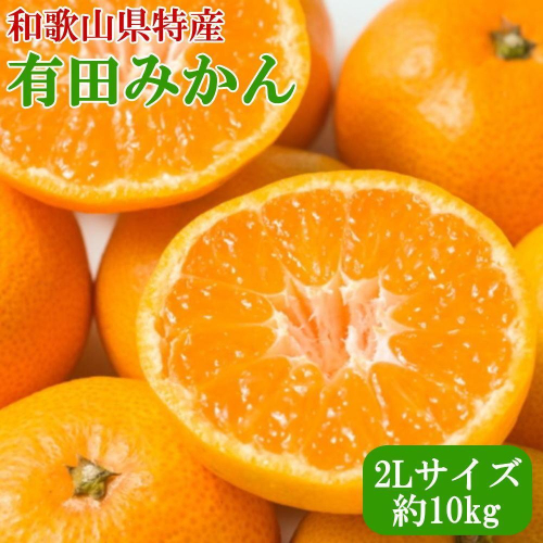 ［秀品］ 和歌山 有田みかん 約10kg 2Lサイズ 2025年11月中旬頃より順次発送 1994176 - 和歌山県有田川町