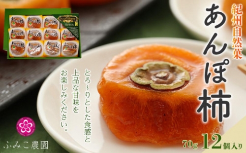 紀州自然菓　あんぽ柿１２個入 199434 - 和歌山県有田川町