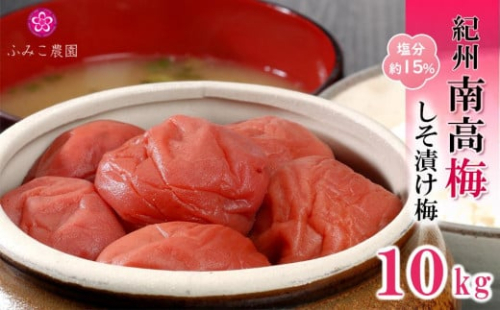 紀州南高梅　しそ漬け梅10Kg 199436 - 和歌山県有田川町