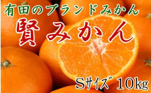 ［秀品]有田のブランド「賢みかん」10kg(Sサイズ)［2026年11月中旬頃より順次発送］ 199460 - 和歌山県有田川町