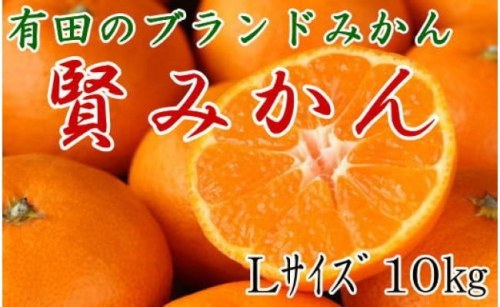 [秀品]有田のブランド「賢みかん」10kg(Lサイズ)［2026年11月中旬頃より順次発送］ 199461 - 和歌山県有田川町