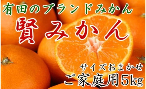 有田のブランド「賢みかん」5kg(S～Lサイズおまかせ）ご家庭用【2025年11月中旬頃より順次発送】 199463 - 和歌山県有田川町