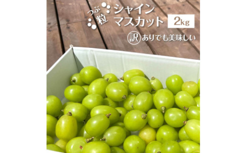 【2026年発送★先行予約】【訳あり】 シャインマスカット 粒 2kg以上　154-033-2kg | 不揃い ご自宅用 ご家庭用 フルーツ 果物 高評価 人気 ランキング おすすめ 甘い 美味しい デザート 数量限定 送料無料 山梨県産 笛吹市 ぶどう 「販売」 KEIPE株式会社		