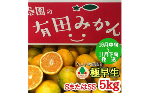 ちょっと 傷あり 極早生 みかん 有田 Ｓ または SS サイズ 5kg 南泰園 199472 - 和歌山県有田川町