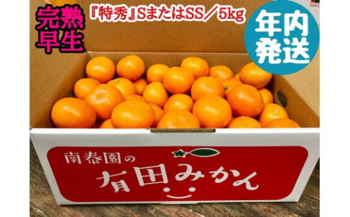 年内発送 完熟早生 有田みかん 特秀 S または SS サイズ 5kg 和歌山 南泰園 199490 - 和歌山県有田川町