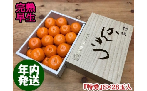 年内発送 完熟早生 有田みかん 化粧小箱 特秀 S サイズ 28玉入 和歌山 南泰園 199491 - 和歌山県有田川町