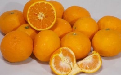 蛍飛ぶ町から旬の便り　なつみオレンジ 5kg　平武農園