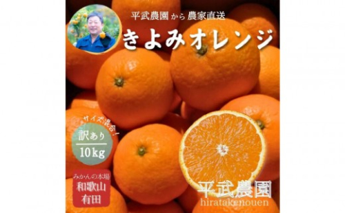 農家直送！きよみオレンジ 10kg 訳あり≪サイズ混合≫［平武農園］～蛍飛ぶ町から旬の便り～［2026年3月下旬から順次発送予定］ 199503 - 和歌山県有田川町