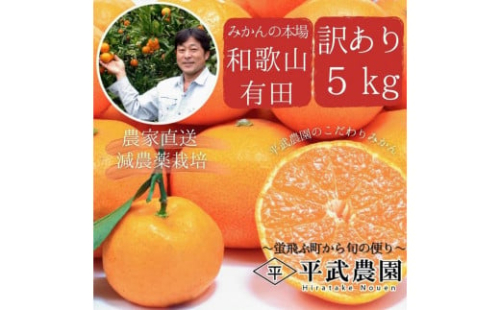 蛍飛ぶ町から旬の便り　有田みかん　訳あり5kg　平武農園　農家直送 199504 - 和歌山県有田川町