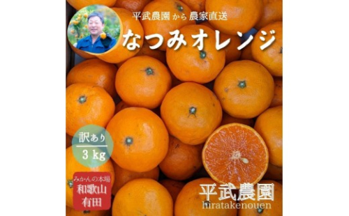 農家直送！なつみオレンジ 3kg 訳あり≪サイズ混合≫【平武農園】～蛍飛ぶ町から旬の便り～ 199507 - 和歌山県有田川町