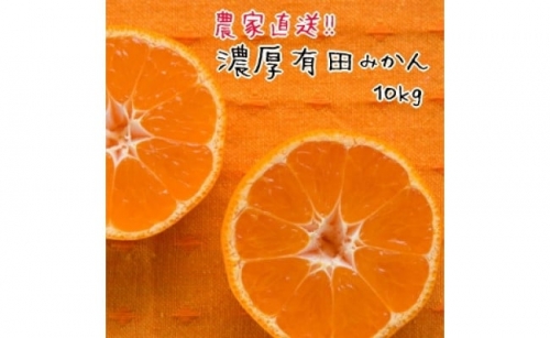 農家直送！濃厚有田みかん10kg(サイズ混合)【先行予約】 199508 - 和歌山県有田川町