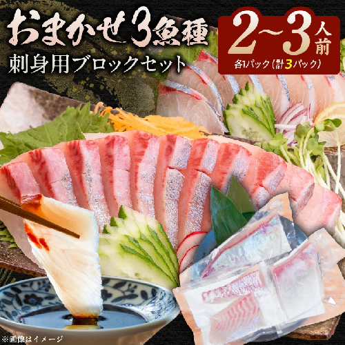 おまかせ3魚種 刺身用ブロックセット N015-YA3347 1995117 - 宮崎県延岡市