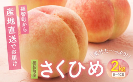 福智町内にある陽のあたる川沿いの温室、「La piantagione」の農園で栽培される早生品種の桃「さくひめ」。他の品種よりも早く花が咲くことから、名前がつけられた「さくひめ」は、ジューシーでさっぱ