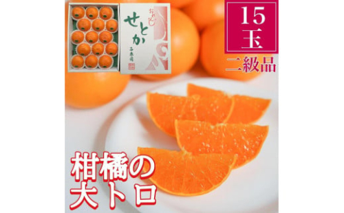 ちょっと 傷あり 柑橘の大トロ ハウス せとか 15玉入 化粧箱 南泰園 199524 - 和歌山県有田川町