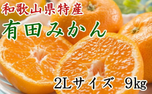 [秀品]和歌山有田みかん約9kg(2Lサイズ) ★2026年11月中旬頃より順次発送［TM85w］ 199525 - 和歌山県有田川町